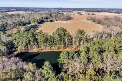 Outstanding prime piece of property for future development! Over - photo 32