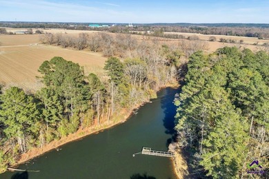 Outstanding prime piece of property for future development! Over - photo 34