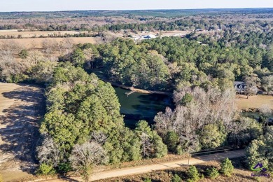 Outstanding prime piece of property for future development! Over - photo 46