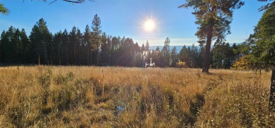 Flathead Lake Acreage For Sale in Bigfork Montana