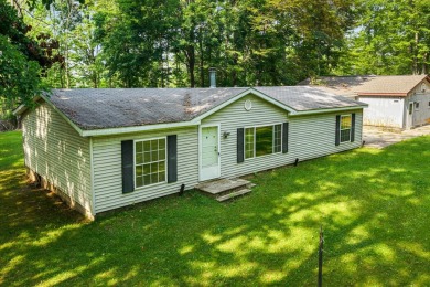 Lake Home For Sale in Hillman, Michigan