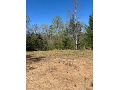 Tuckaseegee River Lot For Sale in Whittier North Carolina