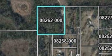 4 Acres of Possibility - Build Your Dream in North Florida! - photo 2