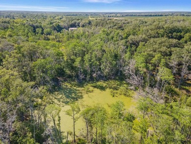 4 Acres of Possibility - Build Your Dream in North Florida! - photo 3