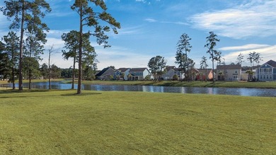 Welcome to 403 Four Seasons Blvd in the Luxury 55+ Lakeside - photo 46