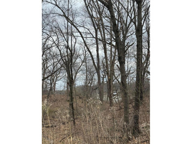 One of the last lake lots left! Beautiful, private Lake George - photo 1