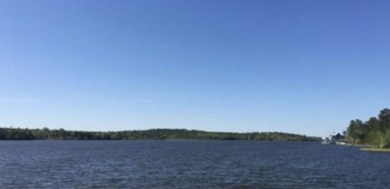 Lake Lot For Sale in Lumberton, Mississippi