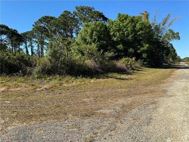 Lehigh Acres Area Lot For Sale in Lehigh Acres Florida