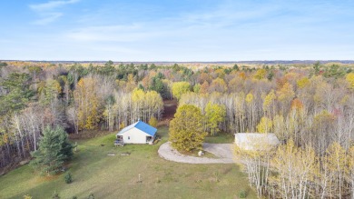 Home For Sale in Kaleva Michigan