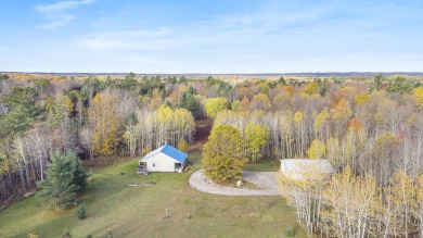 (private lake, pond, creek) Home For Sale in Kaleva Michigan
