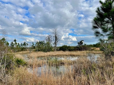 Build your dream home on over a thousand acres of beautiful - photo 11