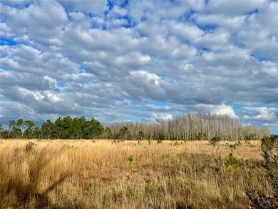 Build your dream home on over a thousand acres of beautiful - photo 13