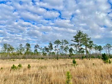 Build your dream home on over a thousand acres of beautiful - photo 14