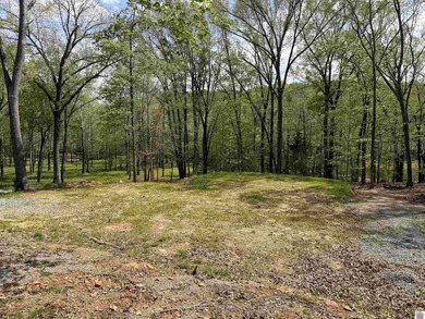 Lot 8E in Canton Heights Estates area 1 is a waterfront lot with - photo 4