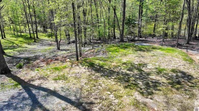 Lot 8E in Canton Heights Estates area 1 is a waterfront lot with - photo 8