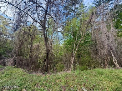 Build your dream home in one of Cherokee Lake's most desirable - photo 6