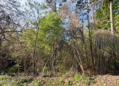 Build your dream home in one of Cherokee Lake's most desirable - photo 8
