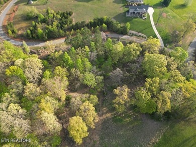 Build your dream home in one of Cherokee Lake's most desirable - photo 10