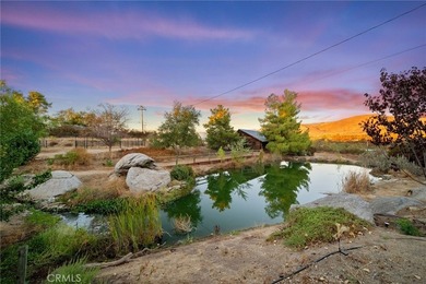 Moonflower Ranch - A Unique 5-Acre Gem just outside of - photo 4