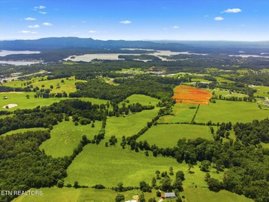 PRIME COMMERCIAL DEVELOPMENT OPPORTUNITY - HISTORIC DANDRIDGE - photo 13