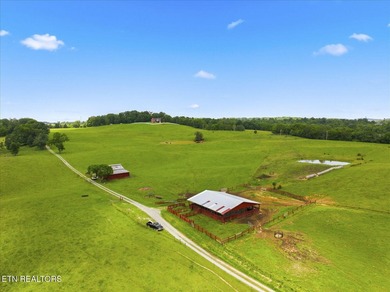 PRIME COMMERCIAL DEVELOPMENT OPPORTUNITY - HISTORIC DANDRIDGE - photo 21
