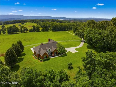 PRIME COMMERCIAL DEVELOPMENT OPPORTUNITY - HISTORIC DANDRIDGE - photo 29