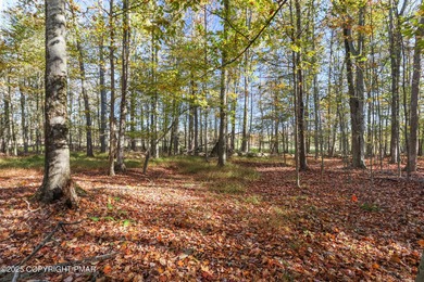 Lake Wallenpaupack Lot For Sale in Lake Ariel Pennsylvania