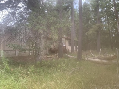 Lake Lot Sale Pending in Lachine, Michigan