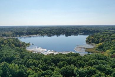 Saddle Lake Acreage For Sale in Grand Junction Michigan