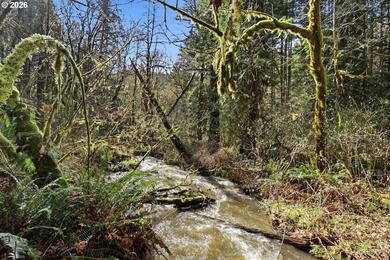 Turnkey Custom Home Opportunity! Build your dream home on this - photo 17