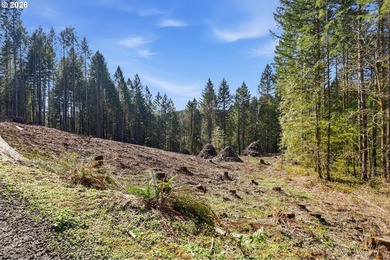 Turnkey Custom Home Opportunity! Build your dream home on this - photo 18
