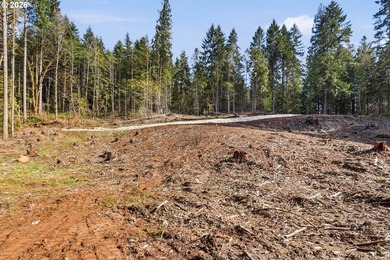 Turnkey Custom Home Opportunity! Build your dream home on this - photo 19