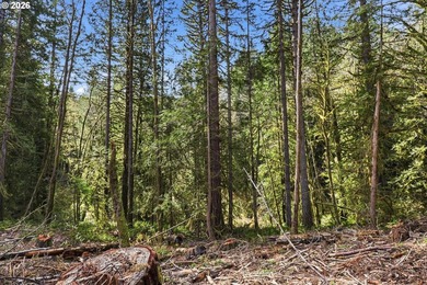 Turnkey Custom Home Opportunity! Build your dream home on this - photo 20