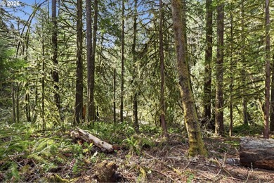 Turnkey Custom Home Opportunity! Build your dream home on this - photo 21