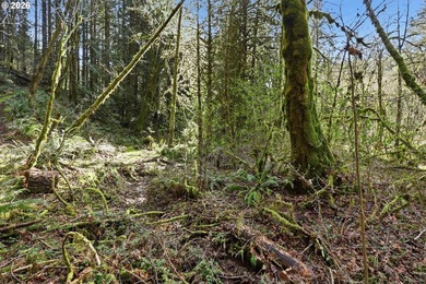 Turnkey Custom Home Opportunity! Build your dream home on this - photo 22
