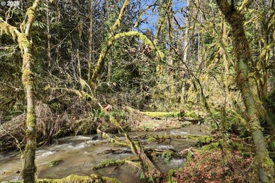 Turnkey Custom Home Opportunity! Build your dream home on this - photo 23