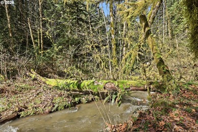 Turnkey Custom Home Opportunity! Build your dream home on this - photo 24
