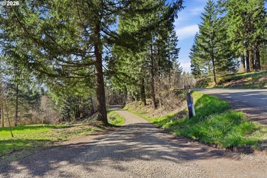 Turnkey Custom Home Opportunity! Build your dream home on this - photo 25