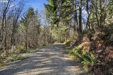 Turnkey Custom Home Opportunity! Build your dream home on this - photo 29