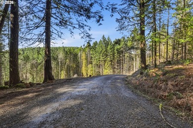 Turnkey Custom Home Opportunity! Build your dream home on this - photo 30