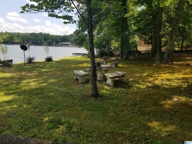 Awesome lake homes perfect getaway on Lake Gerald with awesome - photo 31