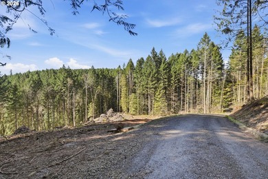 Turnkey Custom Home Opportunity! Build your dream home on this - photo 31