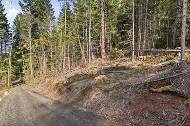 Turnkey Custom Home Opportunity! Build your dream home on this - photo 33