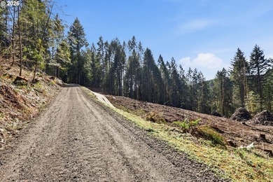 Turnkey Custom Home Opportunity! Build your dream home on this - photo 34