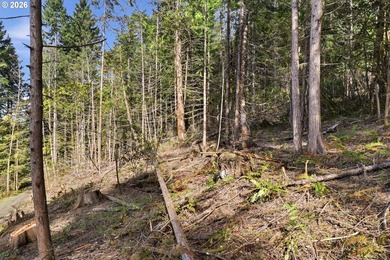 Turnkey Custom Home Opportunity! Build your dream home on this - photo 35