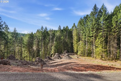 Turnkey Custom Home Opportunity! Build your dream home on this - photo 36