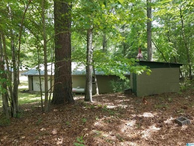 Awesome lake homes perfect getaway on Lake Gerald with awesome - photo 45
