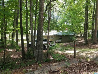 Awesome lake homes perfect getaway on Lake Gerald with awesome - photo 49