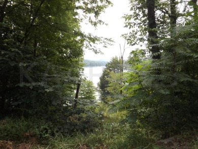 Powell River Lot For Sale in Speedwell Tennessee
