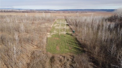 This diverse WRP tract along the Arkansas River is ready for new - photo 3